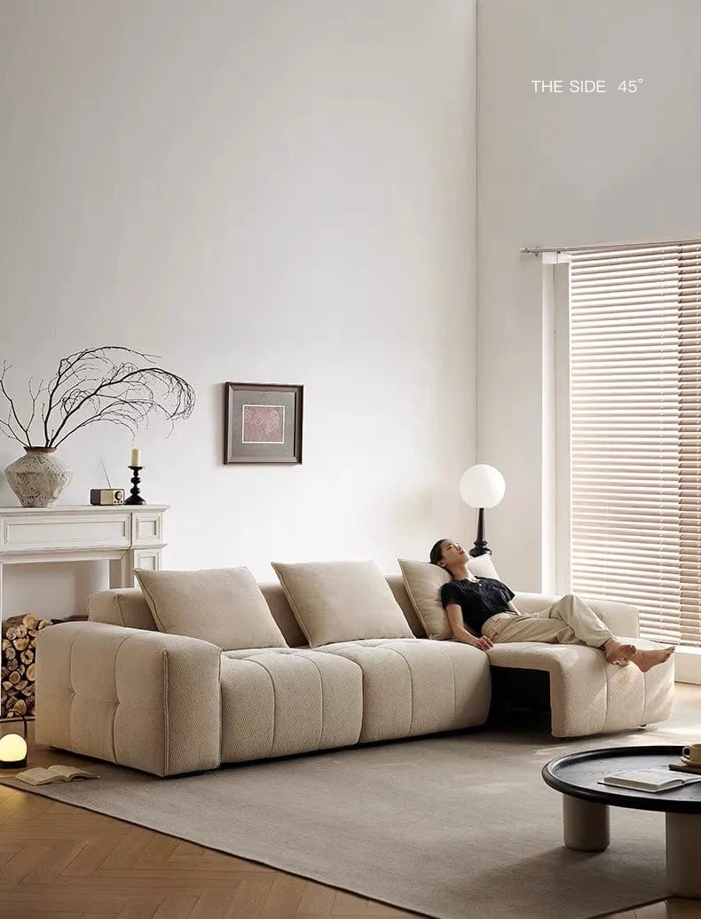 Moven Scratch Resistant Electric Sofa Bed